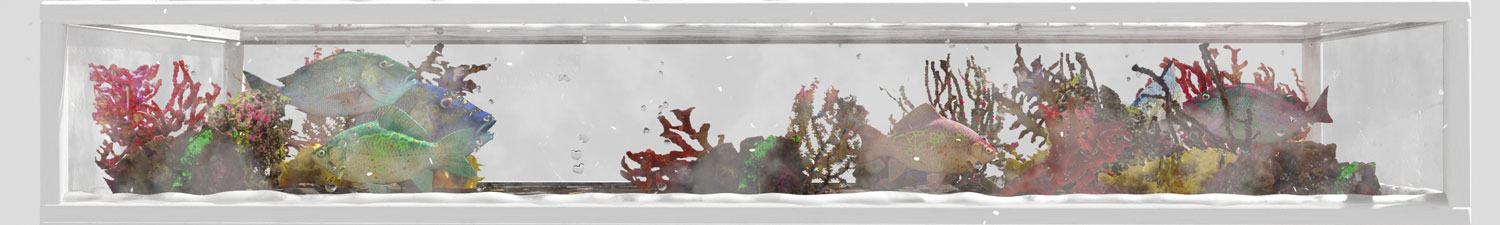 Aquarium (2022)